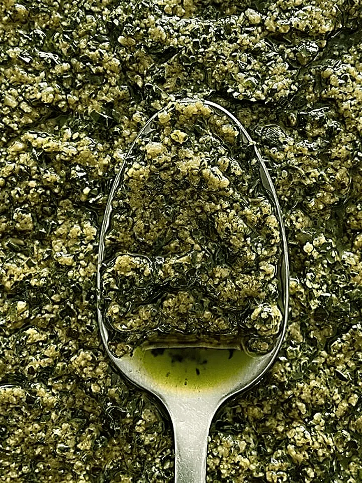 salsa-pesto-03